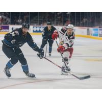 Cleveland Monsters' Cole Clayton battles Grand Rapids Griffins' Tyler Spezia