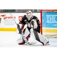 Red Deer Rebels goaltender Kyle Kelsey