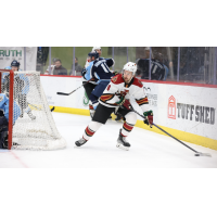 Tucson Roadrunners' Nathan Smith in action