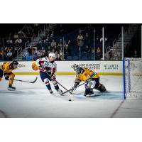 South Carolina Stingrays forward Patrick Harper looks for an opening