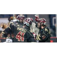 Albany FireWolves celebrate a goal