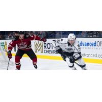 Tucson Roadrunners' Vasily Ponomarev and Ontario Reign's Vasily Ponomarev in action