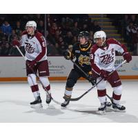 Peterborough Petes' Konnor Smith and Donovan McCoy and Sarnia Sting's Carson Hall on game night