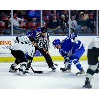 Utah Grizzlies face off with the Wichita Thunder