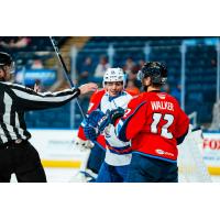 Bridgeport Islanders' Samuel Asselin and Springfield Thunderbirds' Nathan Walker on game night