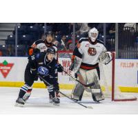 Wenatchee Wild's Evan Friesen and Medicine Hat Tigers' Dru Krebs and Zach Zahara on game night