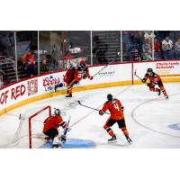 Allen Americans tussle with the Kansas City Mavericks