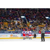 Kitchener Rangers gather following a goal