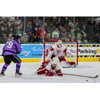 Grand Rapids Griffins' Sebastian Cossa and Josiah Didier and Texas Stars' Chase Wheatcroft on the ice