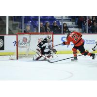 Vancouver Giants' Brett Mirwald versus Prince George Cougars' Ondrej Becher