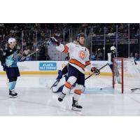 Greenville Swamp Rabbits on game night