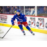 Kitchener Rangers' Luke Ellinas in action