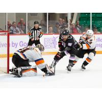 Belleville Senators' Jiri Smejkal in action