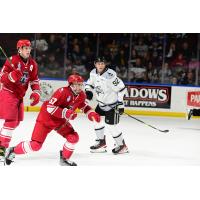 Allen Americans' Hank Crone, Kris Myllari and Idaho Steelheads' Mark Rassell on game night