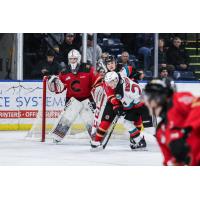 Kelowna Rockets' Dylan Wightman in action