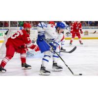 Wichita Thunder forward Michal Stinil (right) vs. the Allen Americans