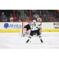 Wheeling Nailers forward Dillon Hamaliuk