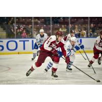 Peterborough Petes' Chase Lefebvre in action