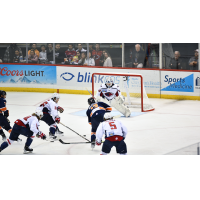 South Carolina Stingrays battle the Greenville Swamp Rabbits