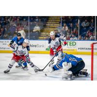 Hartford Wolf Pack's Bobby Trivigno and Matt Rempe battle Springfield Thunderbirds' Malcolm Subban