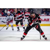 Belleville Senators' Egor Sokolov on the ice