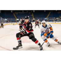 Belleville Senators defenceman Dillon Heatherington eyes the puck vs. the Bridgeport Islanders