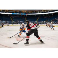 Belleville Senators defenceman Tyler Kleven vs. the Bridgeport Islanders