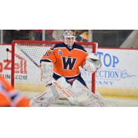 Worcester Railers goaltender Tristan Lennox