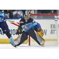 Jacksonville Icemen goaltender Matt Vernon