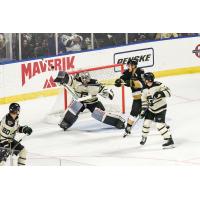 Utah Grizzlies goaltender Dante Giannuzzi