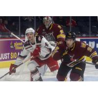 Grand Rapids Griffins right wing Carter Mazur vs. the Chicago Wolves