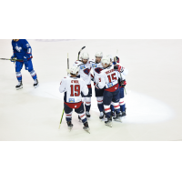 South Carolina Stingrays celebrate win