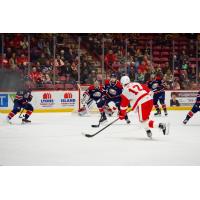 Saginaw Spirit battle the Sault Ste. Marie Greyhounds