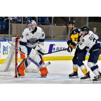 Worcester Railers' Henrik Tikkanen and Ryan Verrier and Norfolk Admirals' Ryan Foss in action