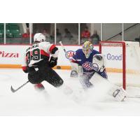 Belleville Senators' Jiri Smejkal battles Rochester Americans' Devon Levi