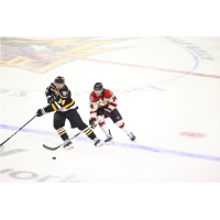 Wheeling Nailers' Jordan Frasca and Indy Fuel's Cam Bakker in action