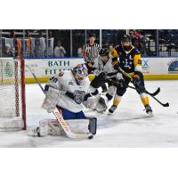 Worcester Railers' Tristan Lennox and Norfolk Admirals' Mathieu Roy in action