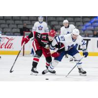 Grand Rapids Griffins' Simon Edvinsson battles Toronto Marlies' Dylan Gambrell