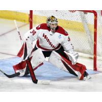 Allen Americans goaltender Leevi Merilainen