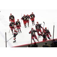 Grand Rapids Griffins celebrate win