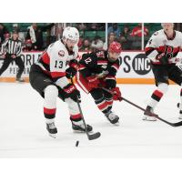 Belleville Senators' Egor Sokolov versus Grand Rapids Griffins' Zach Aston-Reese