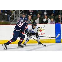 Wenatchee Wild's Kenta Isogai battles Tri-City Americans' Pasha Bocharov