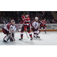 Peterborough Petes defend against the Ottawa 67's