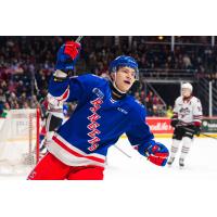 Kitchener Rangers react following a goal