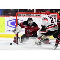 Red Deer Rebels goaltender Chase Wutzke