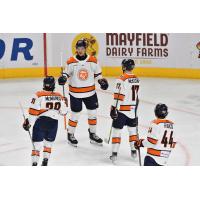 Greenville Swamp Rabbits gather after a goal