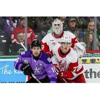 Grand Rapids Griffins battle the Texas Stars