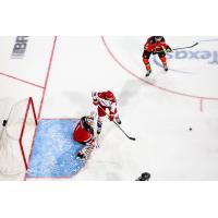 Allen Americans center Spencer Asuchak (center) looks for a shot