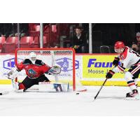 Kelowna Rockets' Jake Pilon and Moose Jaw Warriors' Martin Rysavy in action