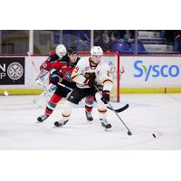 Vancouver Giants captain Sam Honzek